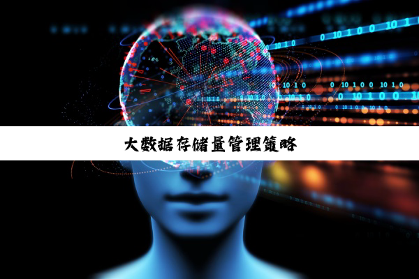 大数据存储量管理策略