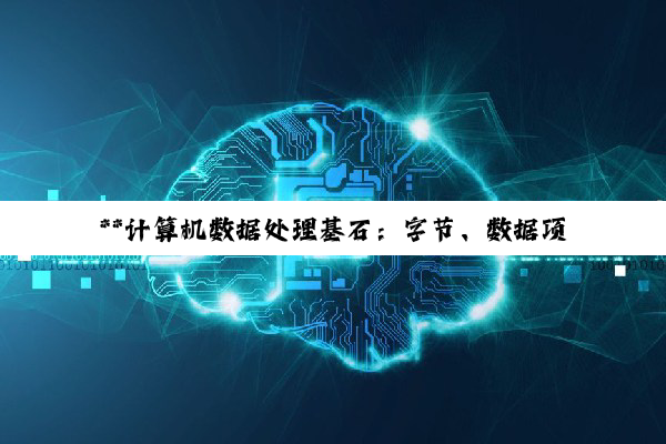 【科普解答】**计算机数据处理基石：字节、数据项与Excel单元格的深度剖析**