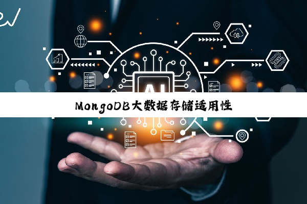 MongoDB大数据存储适用性