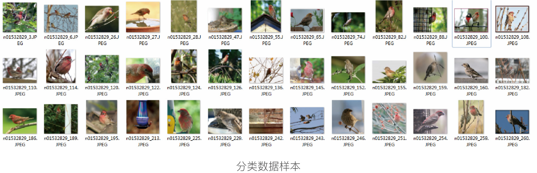 PG电子大数据科技股份有限公司